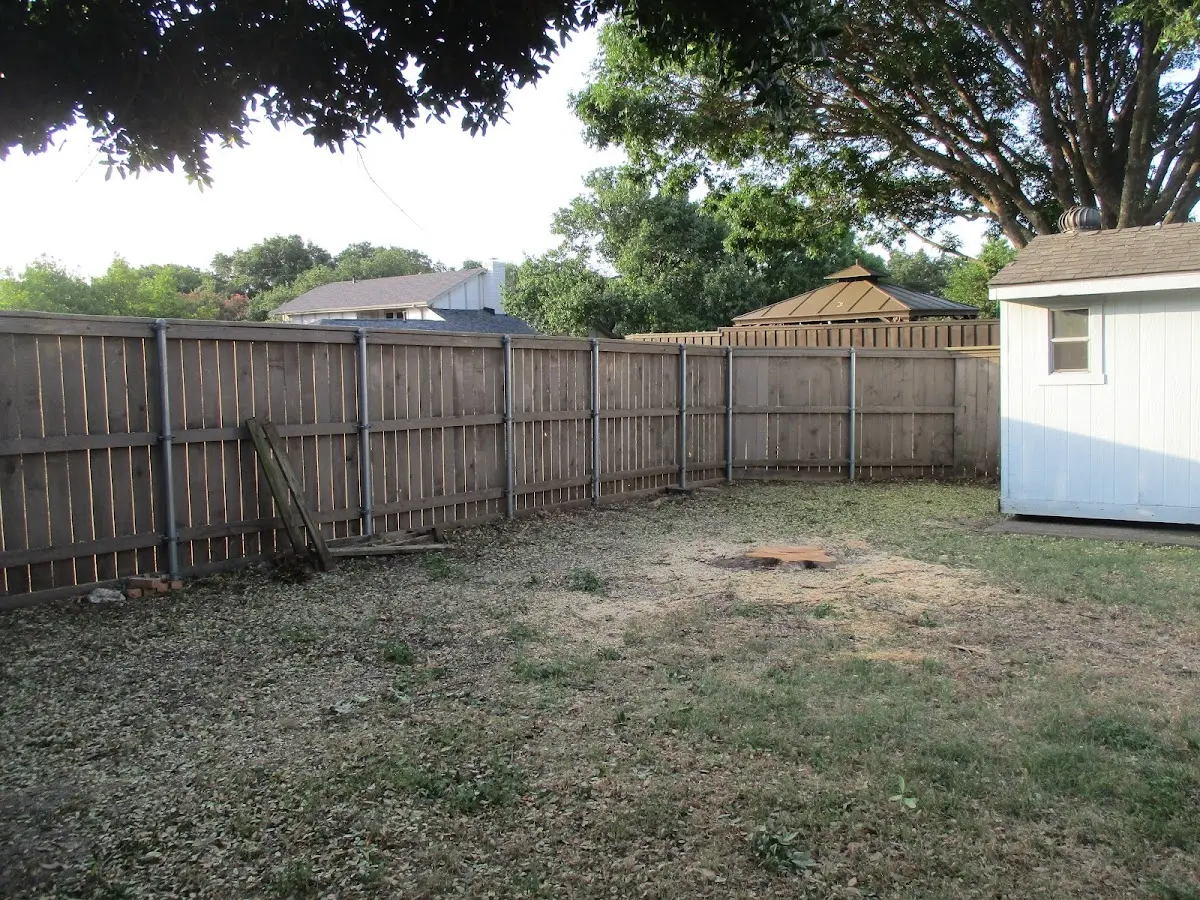 Cleared yard after professional tree removal in Watkinsville